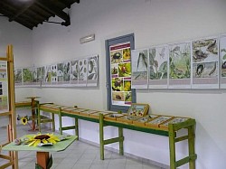 MOSTRA ENTOMOLOGICA
